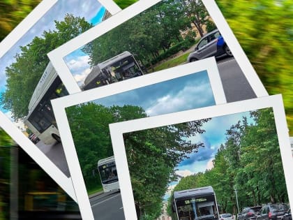 Поймай автобус в кадр