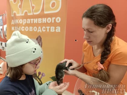 Фестиваль Koshki-фест в Гатчине поддержал бездомных животных