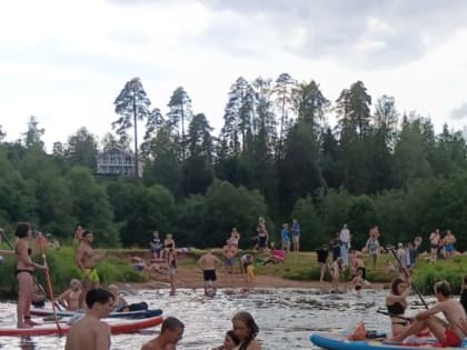 Жители Сиверского с жалобой на сёрферов дошли до ЗакС ЛО 