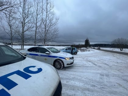 Сотрудники Управления Госавтоинспекции по Санкт-Петербургу и Ленинградской области в Гатчинском округе