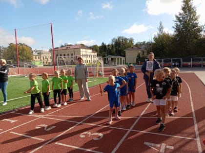 Спортивные планы Гатчинского округа