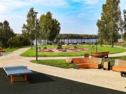 Подари лес другу!