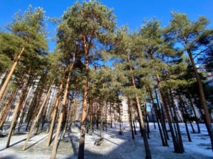 Уважаемые всеволожцы!