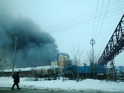 Превышения ПДК не выявлено