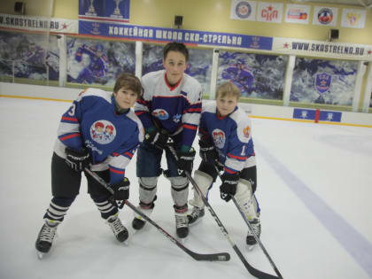 Завершился зимний спортивно-развивающий образовательный комплекс для детей дворовых хоккейных секций Северо-Запада