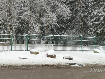 Гатчинскому парку нужны парковки