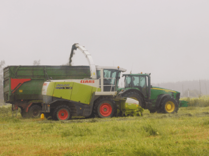 Сельскохозяйственные работы в Гатчине достигают пика