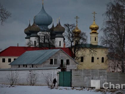 Дожди и до 6 градусов тепла: погода в Ленобласти