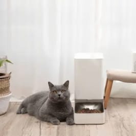 Mascota con alimentación controlada