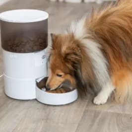 Comedero con bandeja limpia