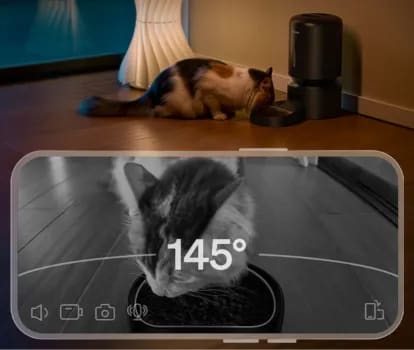 comedero automático petlibro con cámara visón nocturna