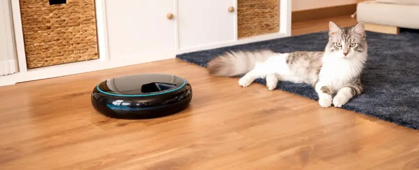 comedero automático gato cecotec pumba 1600