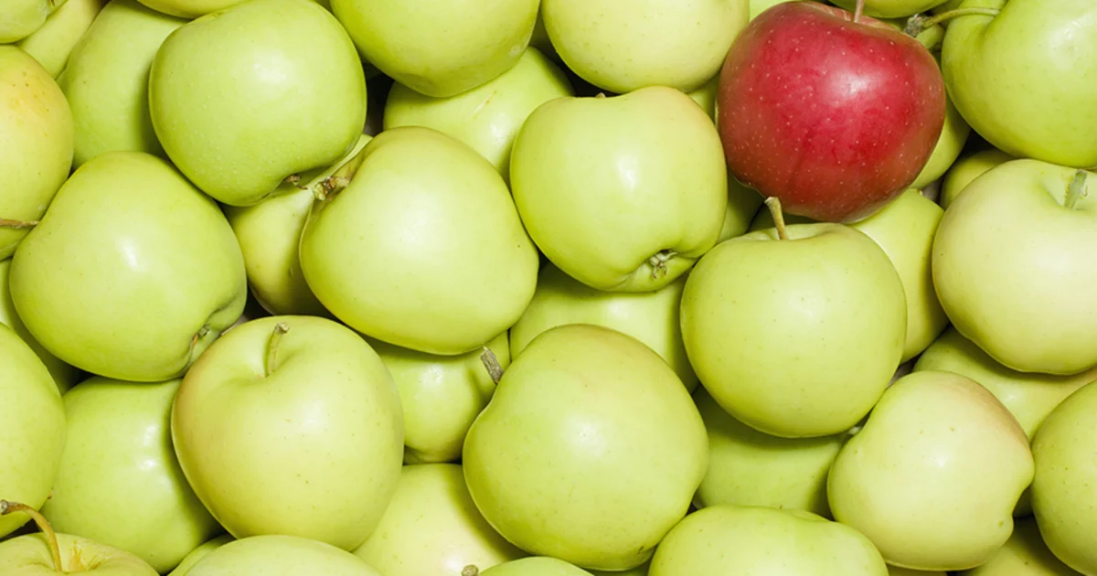 Why Niching Down Your Cause Actually Raises More Money