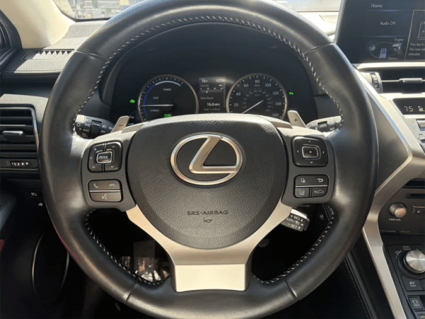 2020 LEXUS NX300h Premium AWD