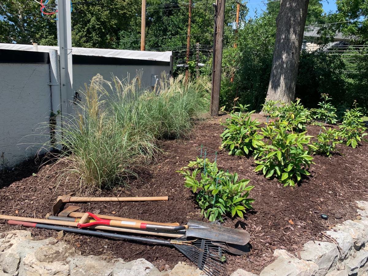 Yard сleanup & landscaping 