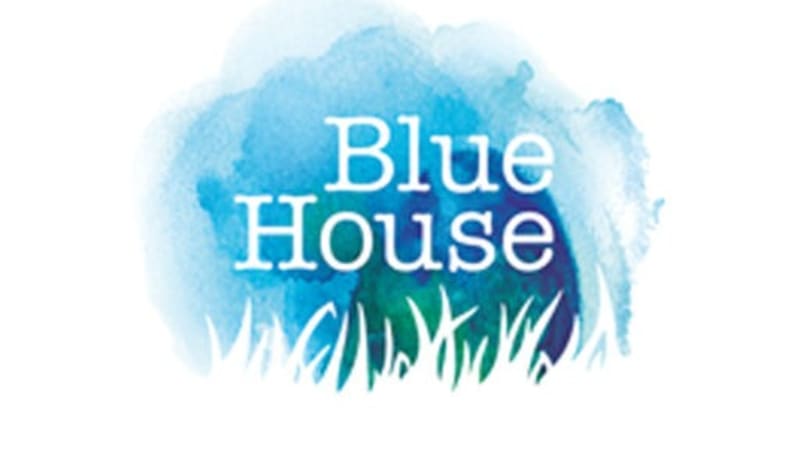Blue House International
