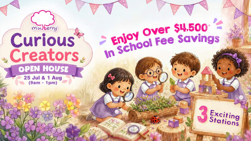 Mulberry Learning