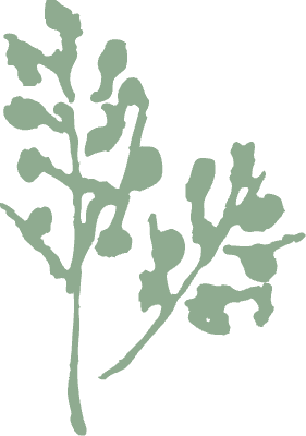 Charlotte Puxley Flowers logo