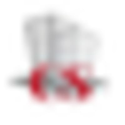 Chip Soon Auto Supply logo
