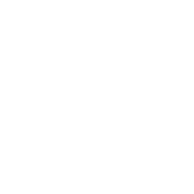Evolve MMA logo