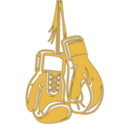 JR Muay Thai logo
