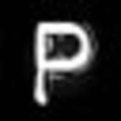 The Panic Room logo