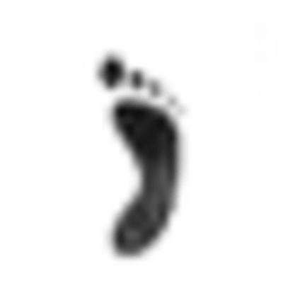 The STEP Studio logo