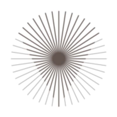 Veritas Medical Aesthetics logo