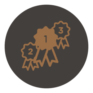 Bronze competition badges symbolizing first, second, and third place achievements on a dark background.
