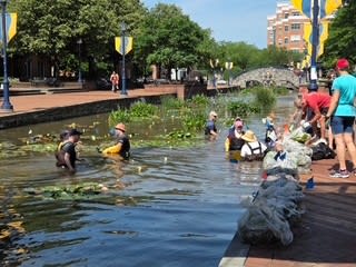 Ryan Electric team volunteering at Carroll Creek in Frederick