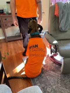 Tim and Leah, the Ryan Electric shop dog, in matching uniforms