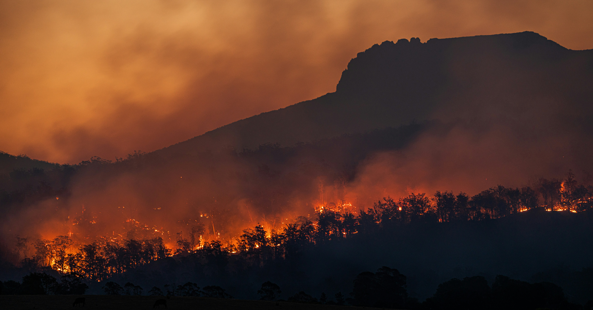 Wildfires Don’t Wait for Your Disaster Recovery Plan