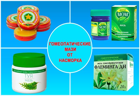 Мазь Флеминга Купить В Ульяновске