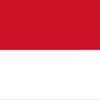 flag icon