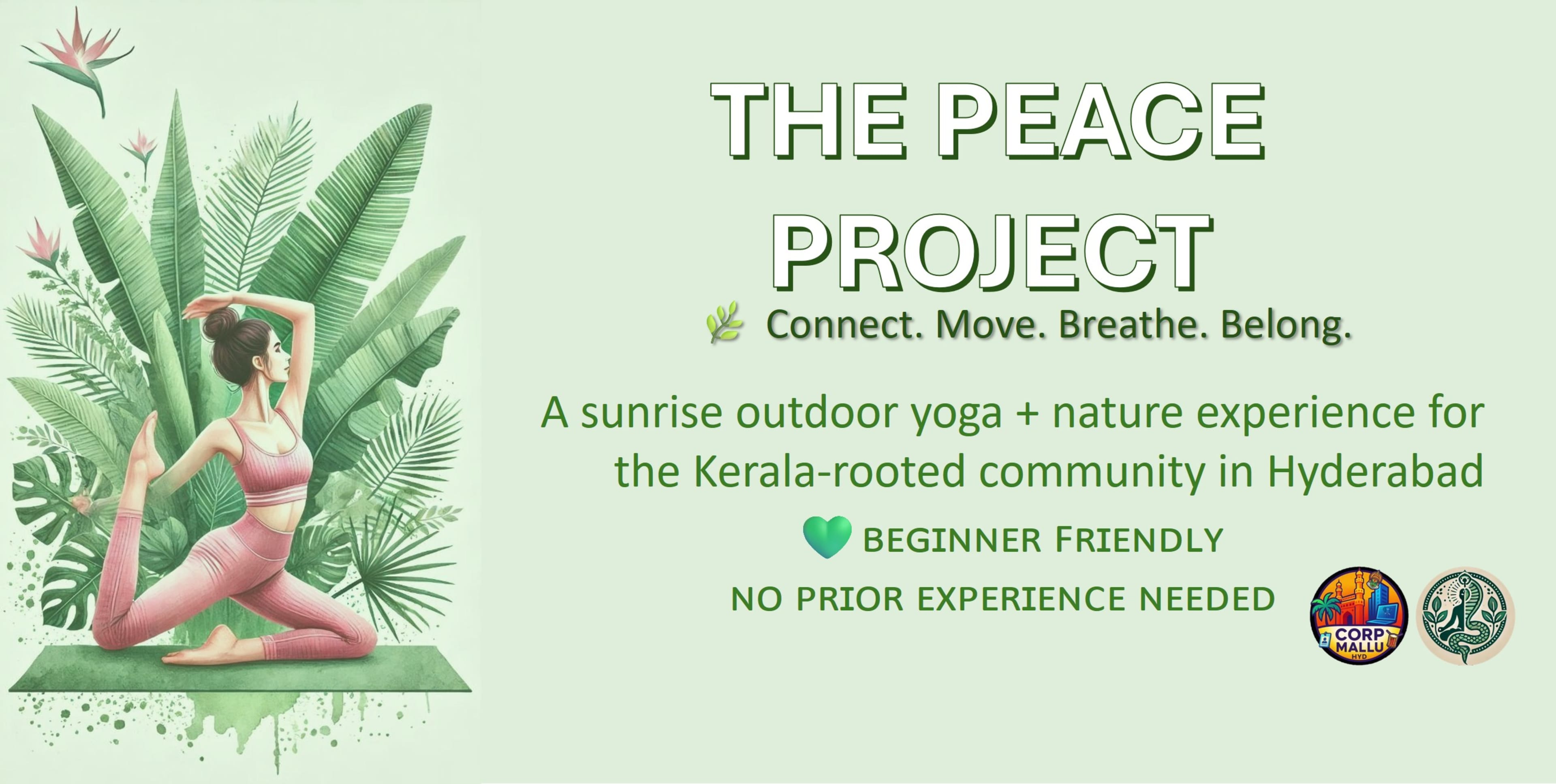 The Peace Project banner