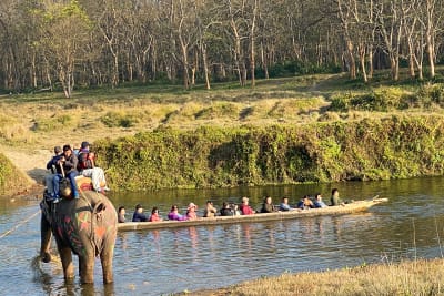 Chitwan elephant safari and boating
