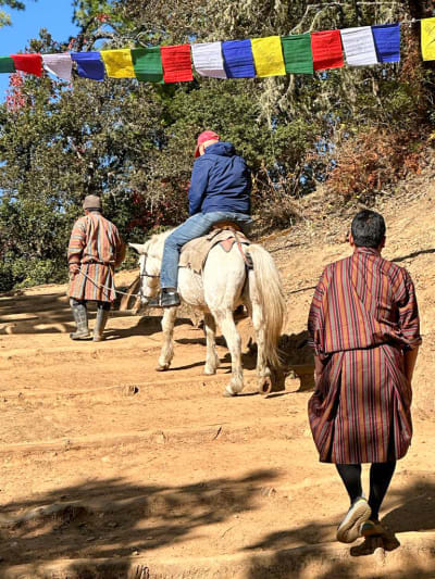 Pony ride instead of hike who are not able to hike figogb
