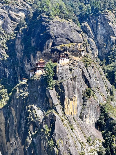 tigers nest view from Mid Point Cafeteria