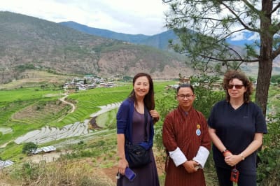 Terraced rice fields in punakha