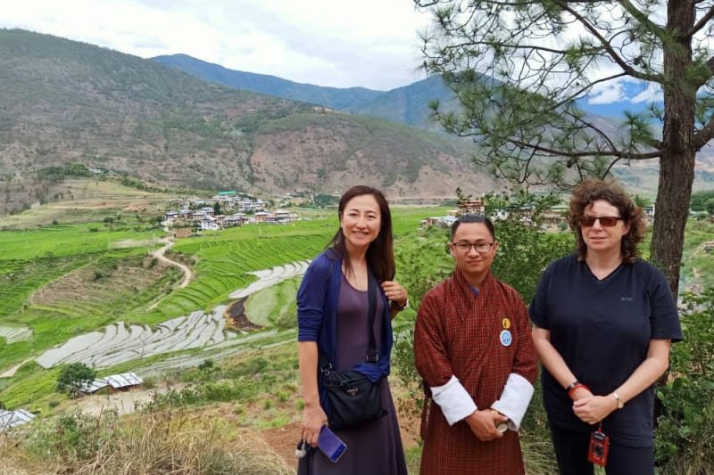Terraced rice fields in punakha