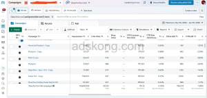 Meta Ads Performance 1