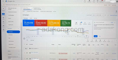 Google Ads Performance 1