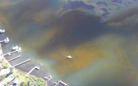 Efecto de la marea roja en los bienes raíces de Florida