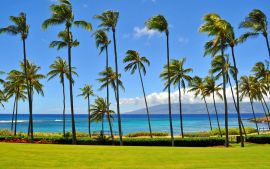 La generación de baby boomers está redefiniendo a Coconut Grove