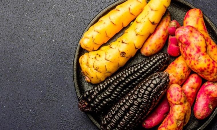 La Floribbean Cuisine es la gastronomía autóctona de la Florida