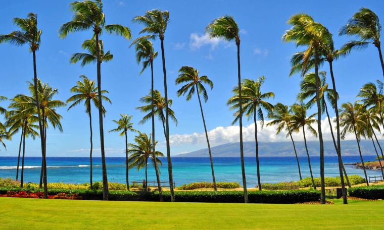 La generación de baby boomers está redefiniendo a Coconut Grove