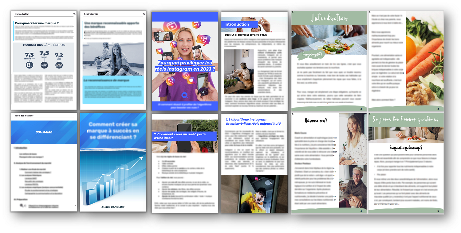 Examples of eBooks created with Sonic Book Mastery