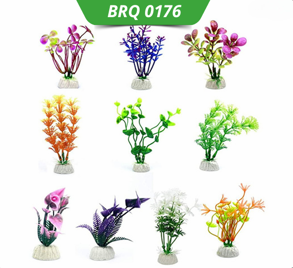10 PCS PLANT