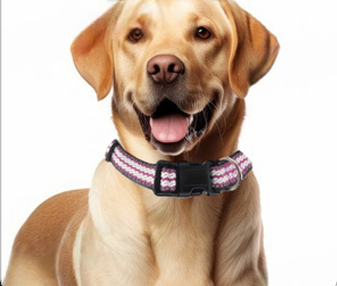 CANINE COLLAR