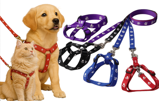 CAT & DOG PAW PRINTED HARNESS
